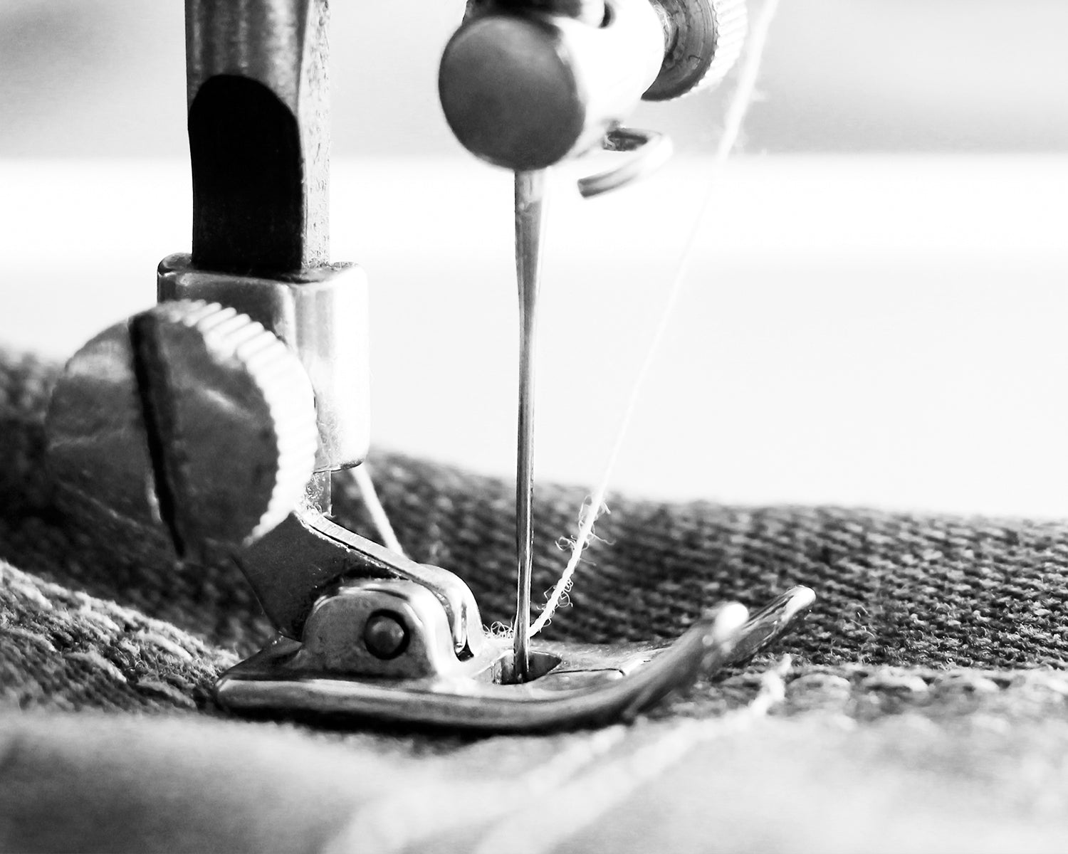 sowing machine close up on fabric